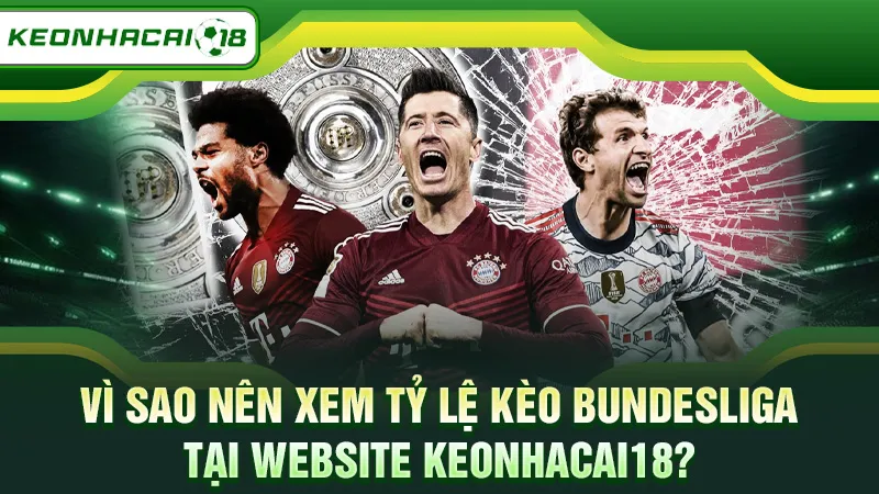 Vì sao nên xem tỷ lệ kèo Bundesliga tại website Keonhacai18?